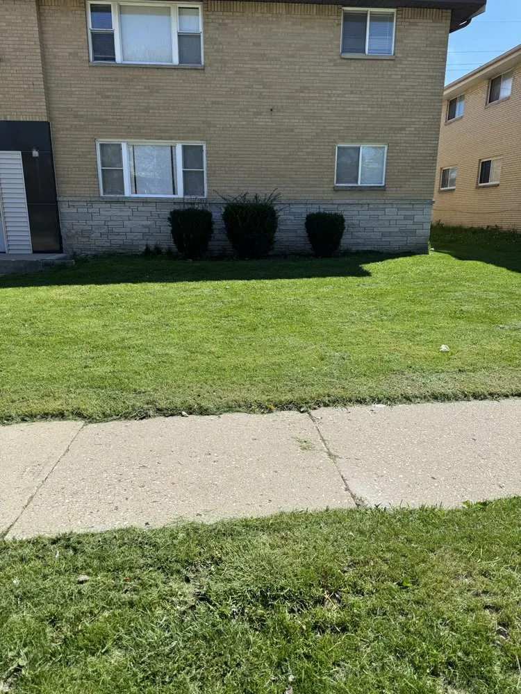 Trusted yard maintenance experts serving Milwaukee, WI - T&M’s Landscaping