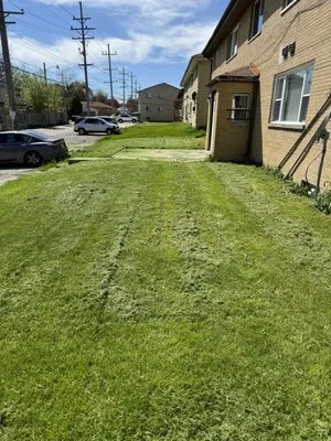 T&M’s Landscaping Logo