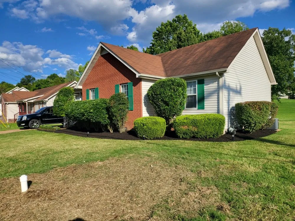 Expert yard cleanup service for outdoor upgrades across Nashville, TN - TMS lawncare and landscaping