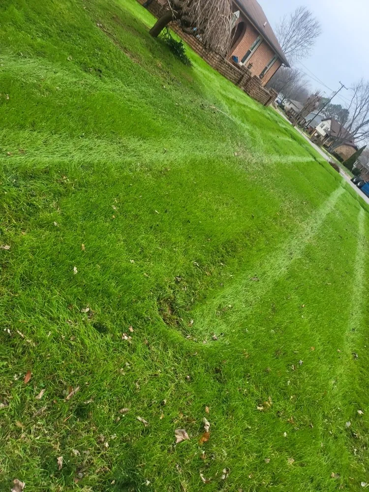 Professional yard cleanup service in Nashville, TN - TMS lawncare and landscaping