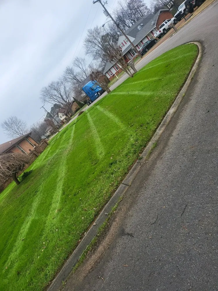 Top-rated outdoor landscaping experts serving Nashville, TN - TMS lawncare and landscaping