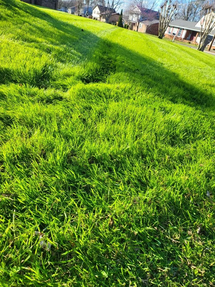 Trusted landscape installation in Nashville, TN - TMS lawncare and landscaping