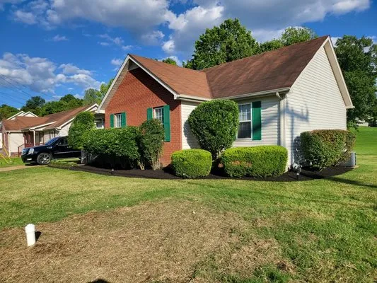 TMS lawncare and landscaping Logo