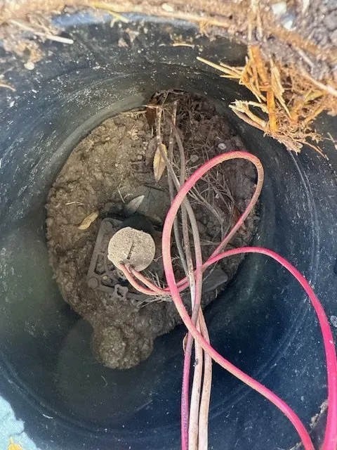 Custom residential landscaping in Dallas, TX - TMT Sprinklers Repair & Services