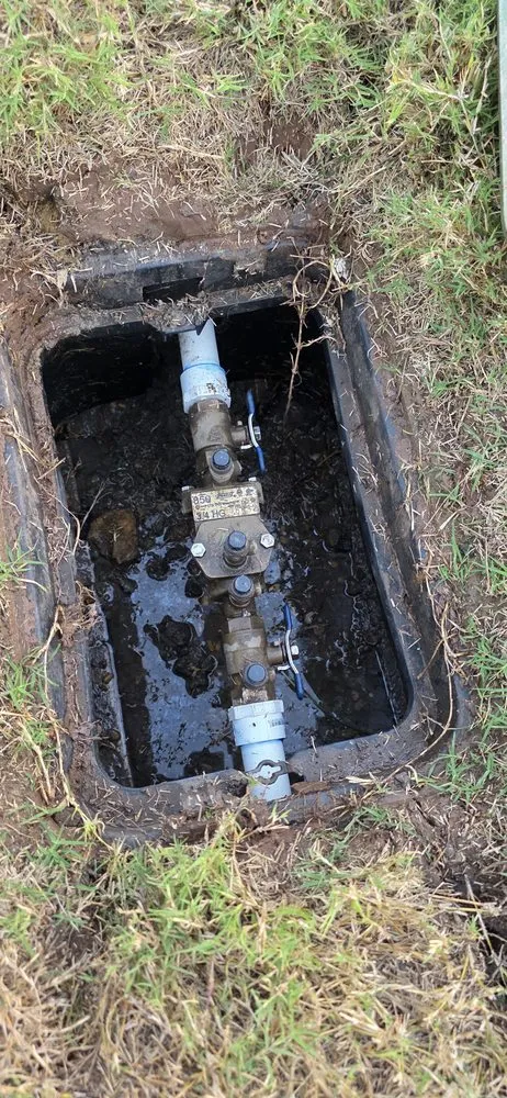 Custom landscape installation in Dallas, TX by TMT Sprinklers Repair & Services