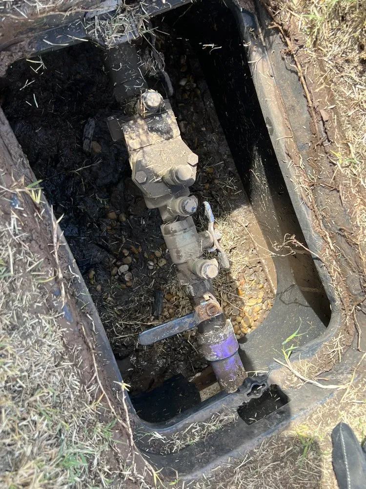 Professional garden landscaping experts serving Dallas, TX - TMT Sprinklers Repair & Services