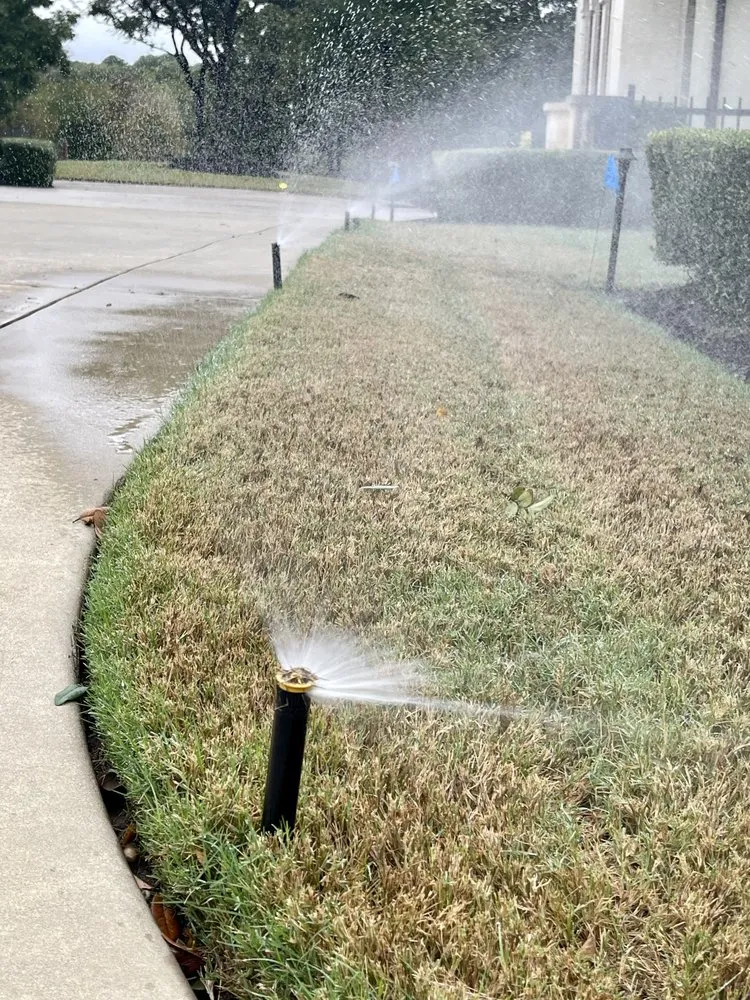 Custom lawn care service in Dallas, TX by TMT Sprinklers Repair & Services