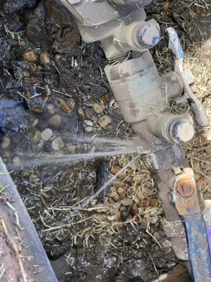 TMT Sprinklers Repair & Services