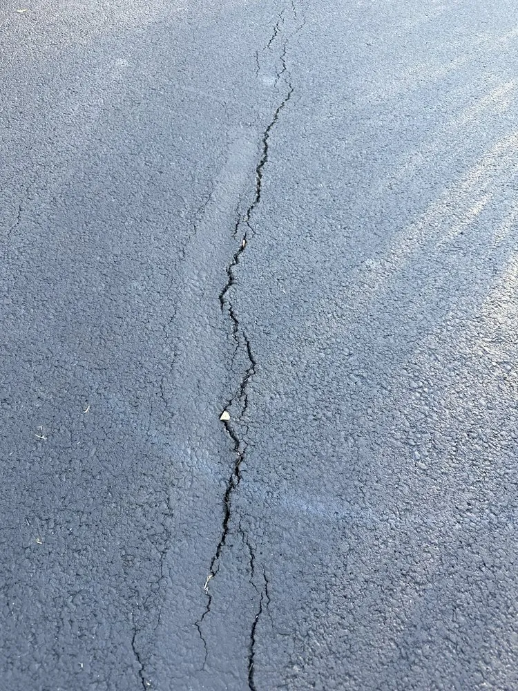 Custom yard cleanup service experts serving Elk Grove Village, IL - TMW Enterprises Paving & Maintenance