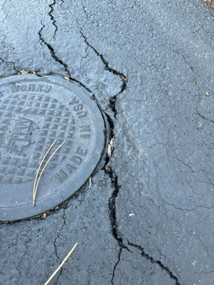 Trusted yard cleanup service with custom design in Elk Grove Village, IL by TMW Enterprises Paving & Maintenance