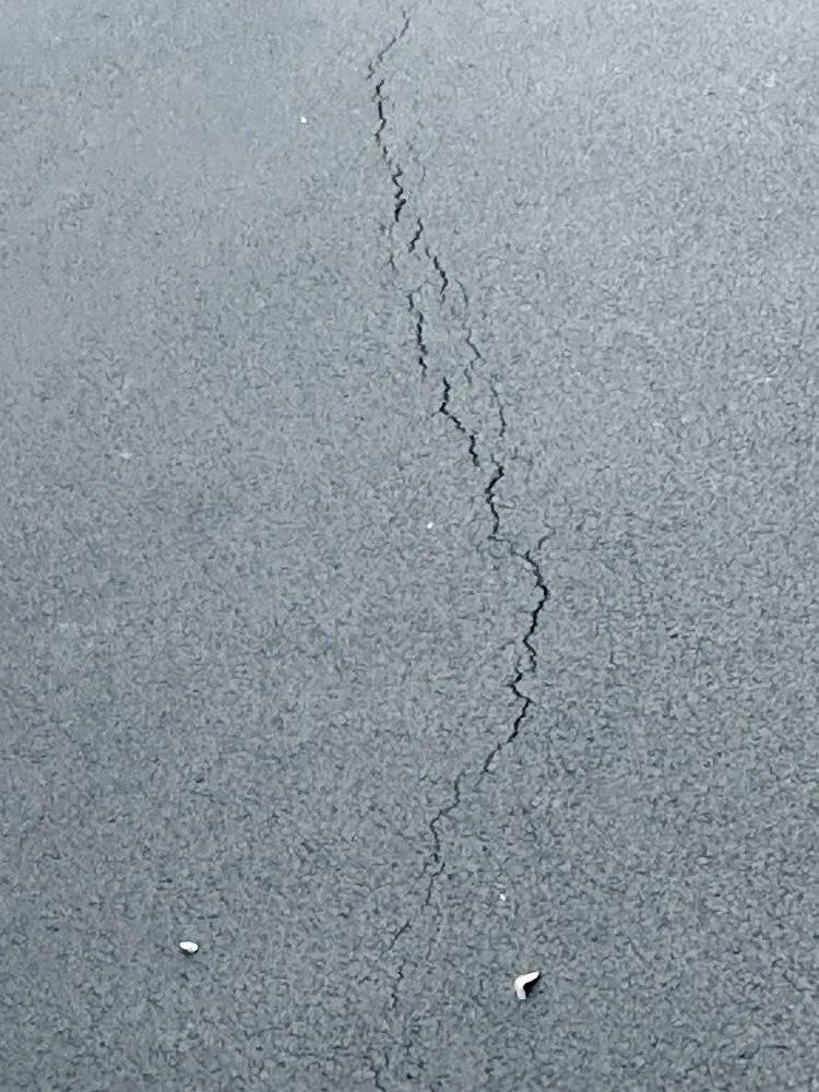 Top-rated yard maintenance in Elk Grove Village, IL - TMW Enterprises Paving & Maintenance