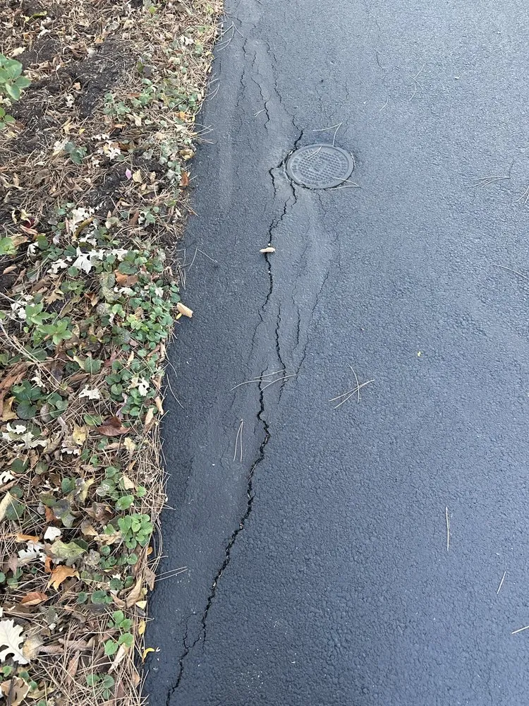 Local yard cleanup service in Elk Grove Village, IL - TMW Enterprises Paving & Maintenance