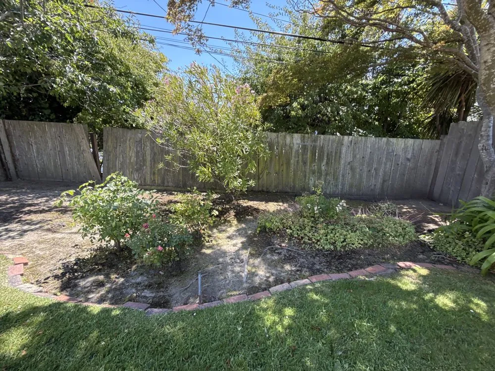 Reliable yard cleanup service in San Francisco, CA - TMZ Landscaping