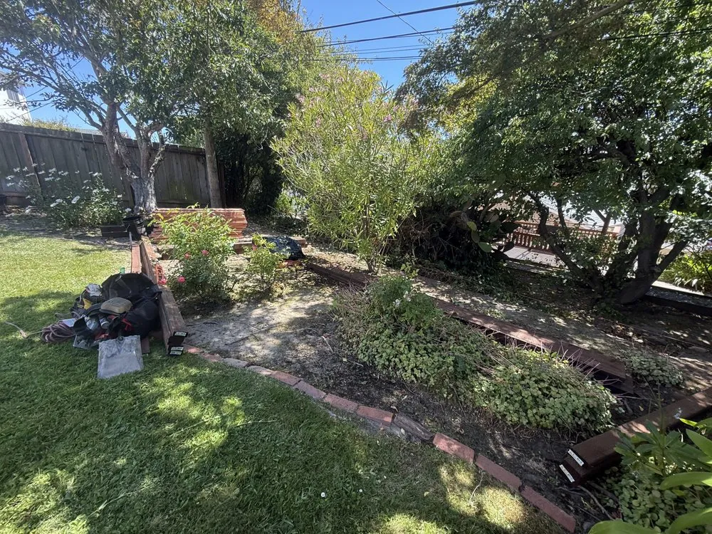 Local yard maintenance in San Francisco, CA - TMZ Landscaping