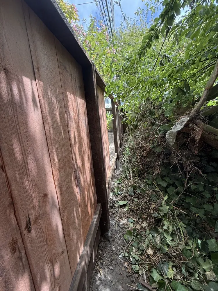 Professional garden landscaping for outdoor upgrades in San Francisco, CA by TMZ Landscaping