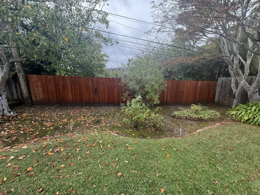 Custom yard maintenance for year-round maintenance across San Francisco, CA - TMZ Landscaping