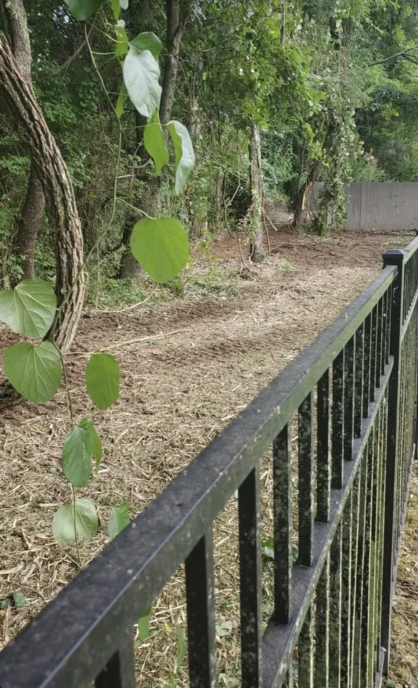 Local yard maintenance for year-round maintenance in Mt. Juliet, TN by TN Brush Busters & Excavation