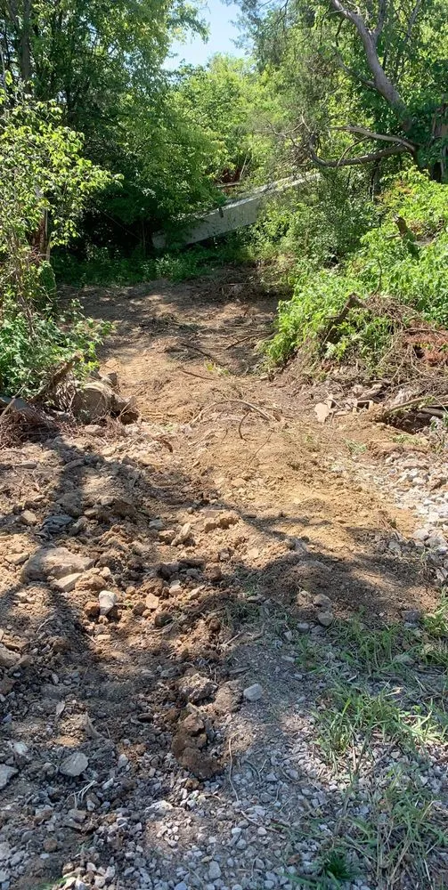 Reliable yard cleanup service in Mt. Juliet, TN - TN Brush Busters & Excavation