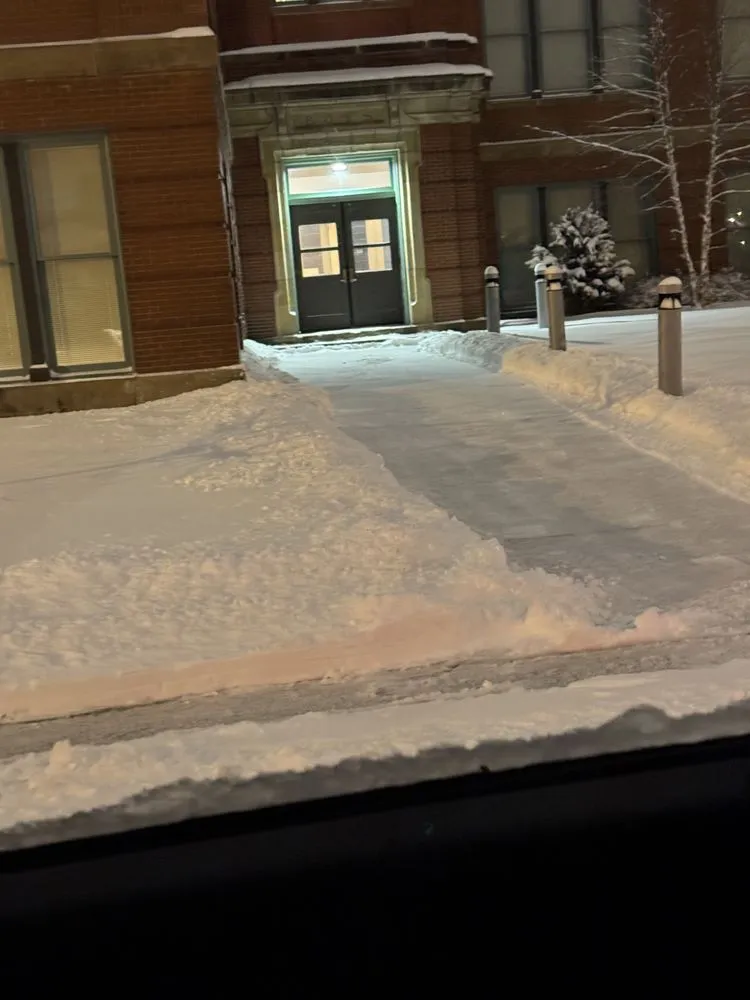 Reliable yard cleanup service experts serving Niagara Falls, NY - T&N Contracting & Snow Removal