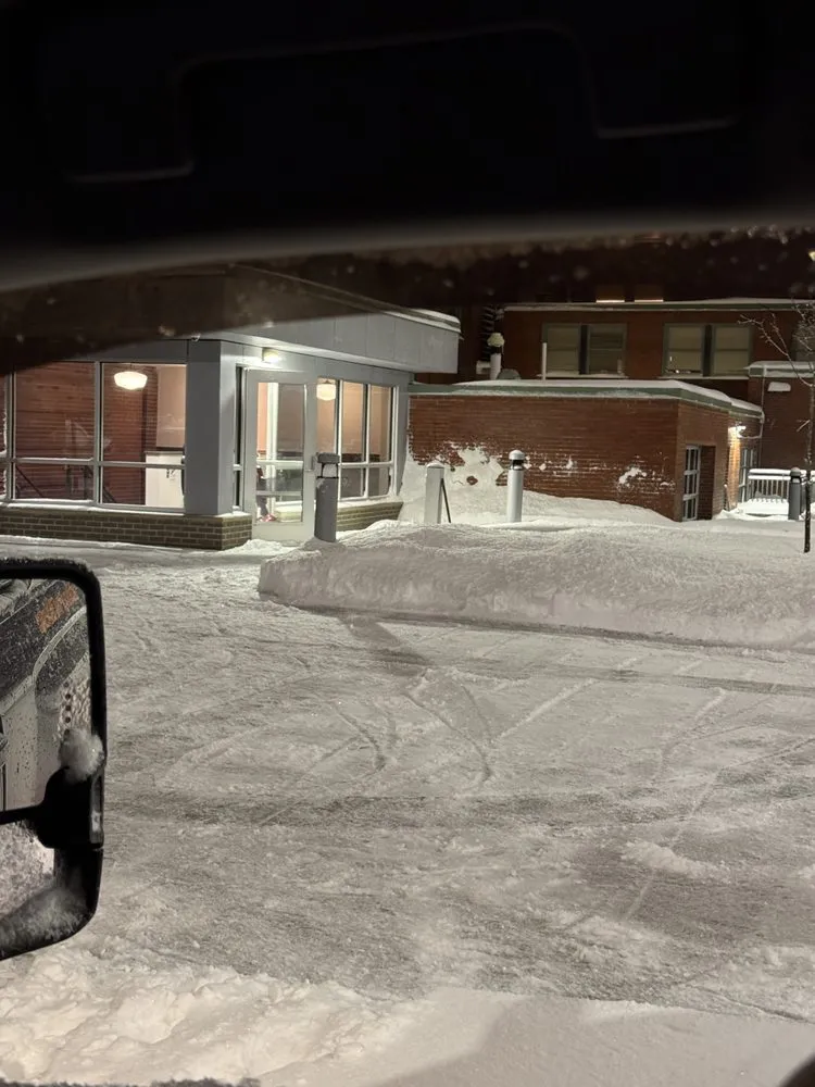 Local yard cleanup service for residential properties in Niagara Falls, NY by T&N Contracting & Snow Removal