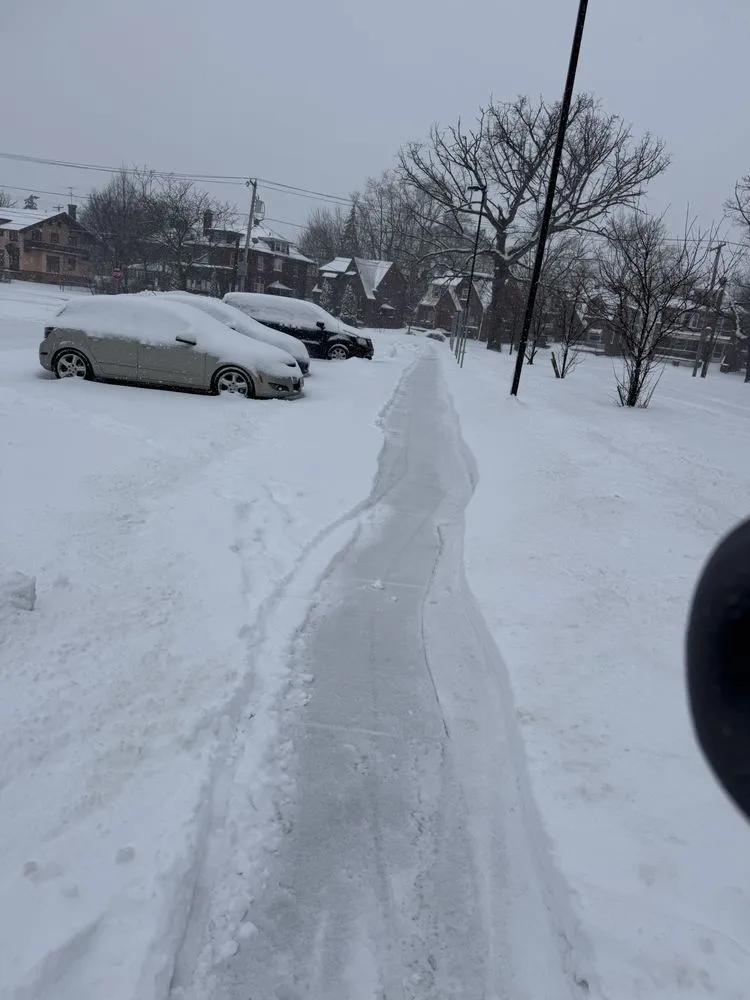 Affordable yard cleanup service in Niagara Falls, NY by T&N Contracting & Snow Removal