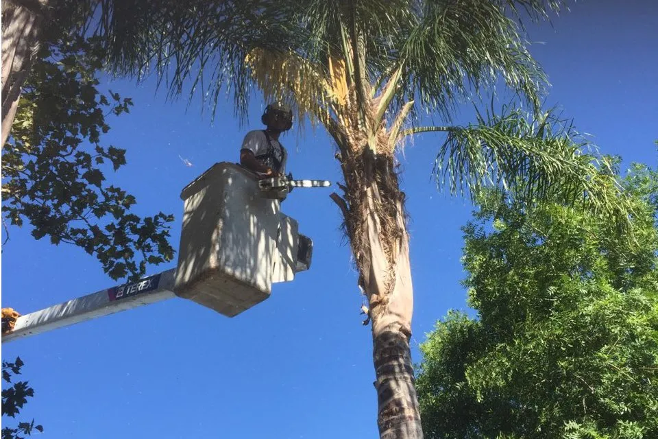 Affordable garden landscaping in Stockton, CA - TN General Construction