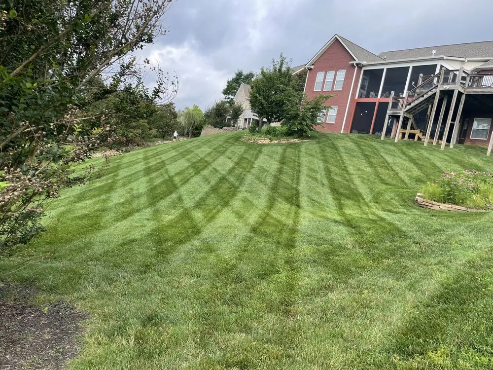 Professional lawn care service in Knoxville, TN by TN Landscaping