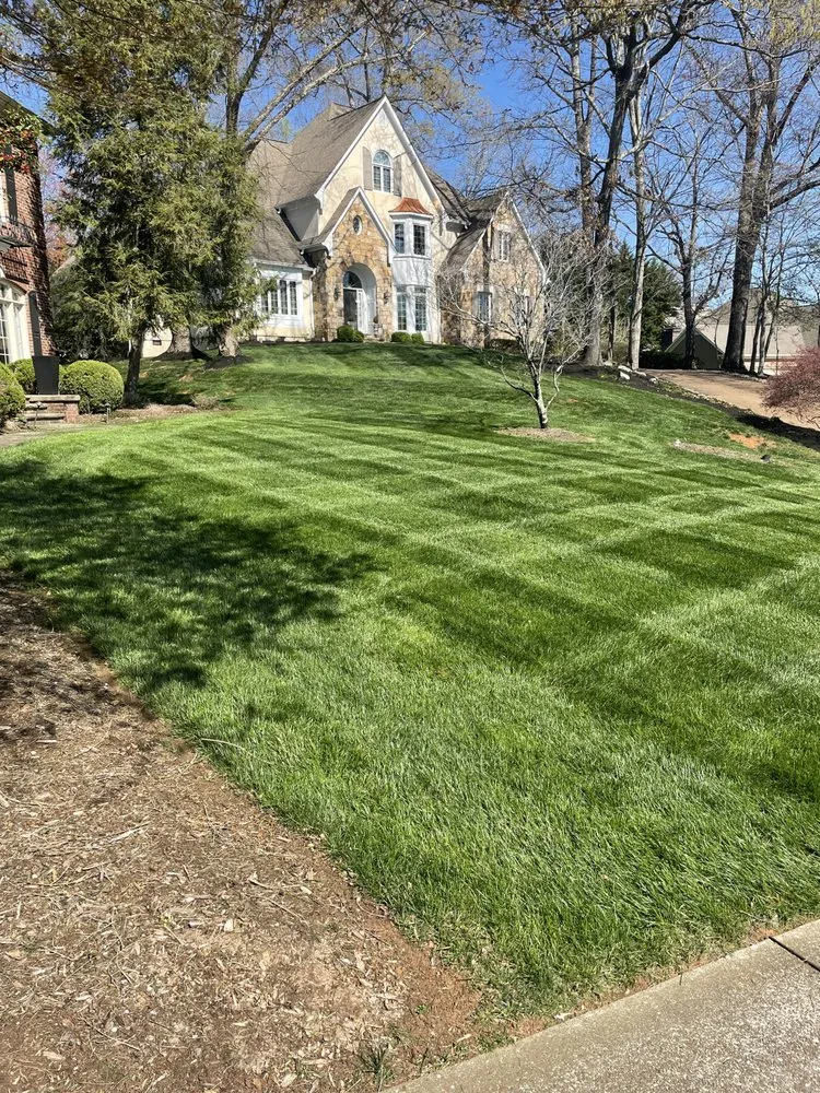 Trusted yard cleanup service in Knoxville, TN by TN Landscaping