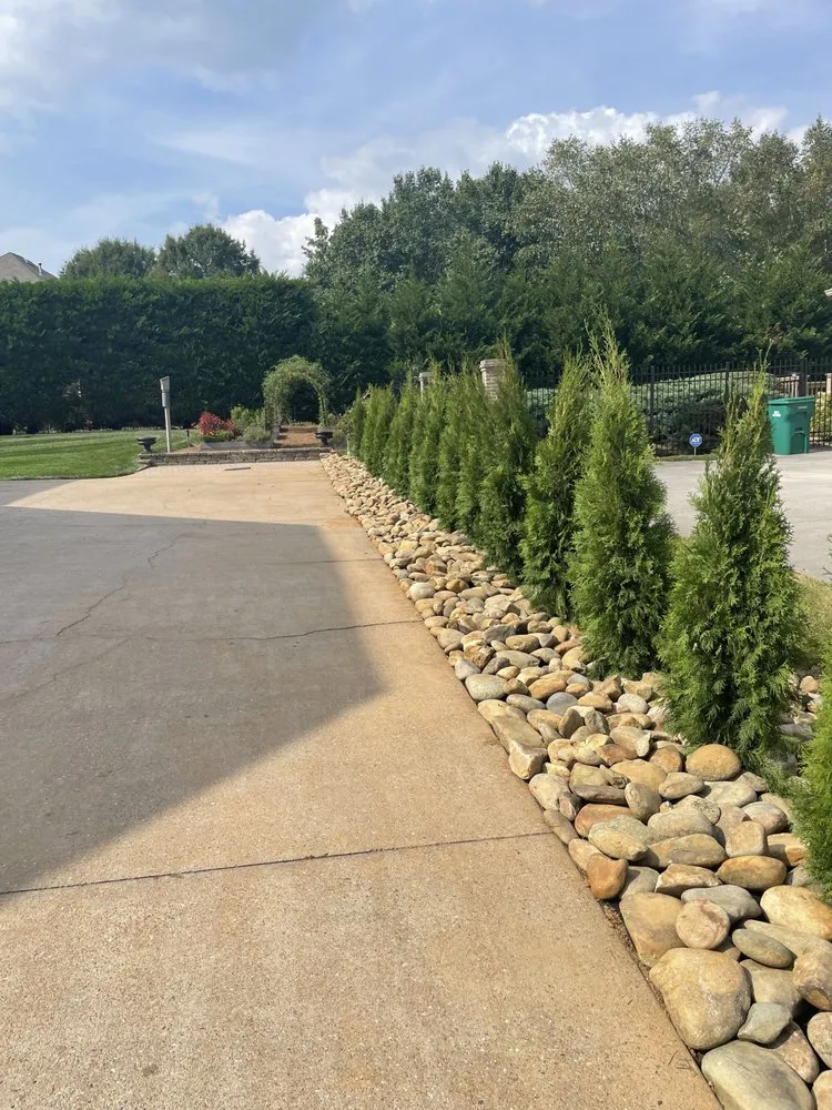 Affordable yard cleanup service in Knoxville, TN - TN Landscaping
