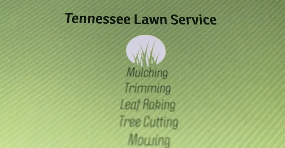 Trusted yard cleanup service in Knoxville, TN - TN Landscaping