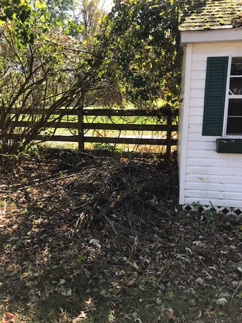 Affordable landscape design near you across Staunton, VA - T&N Landscaping