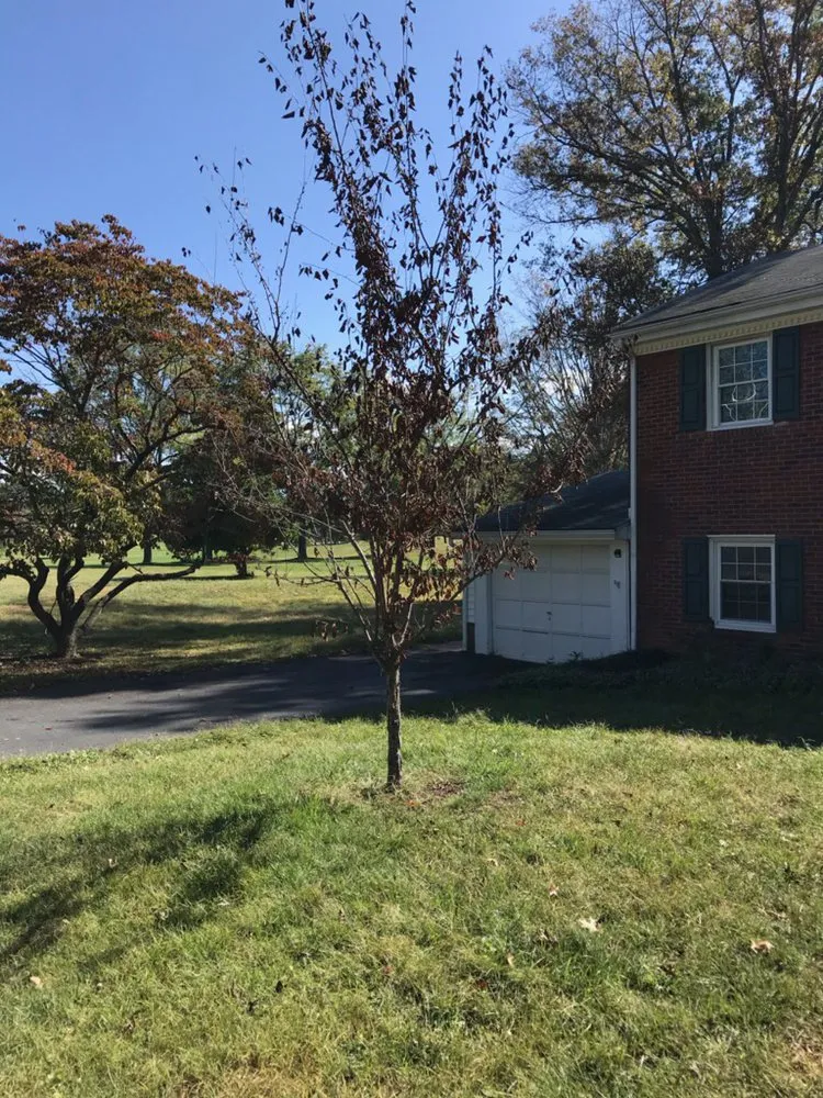 Reliable garden landscaping for residential properties in Staunton, VA by T&N Landscaping