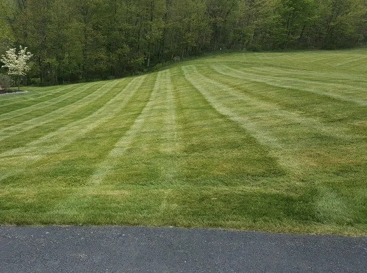 Local lawn mowing service in Staunton, VA by T&N Landscaping