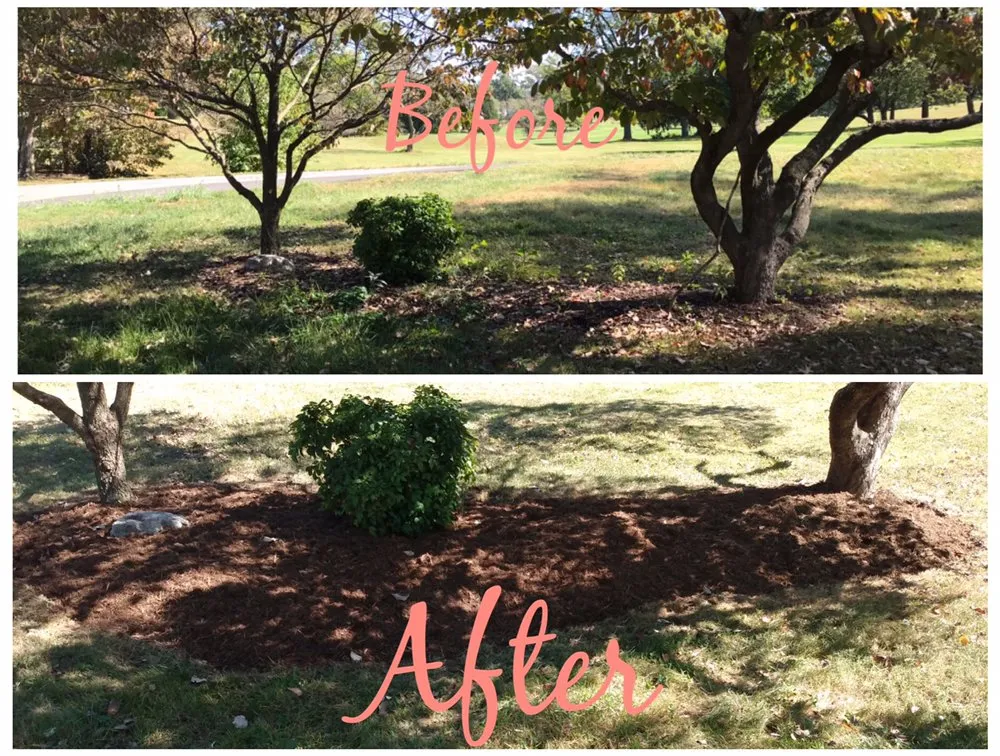 Professional garden landscaping for beautiful yards in Staunton, VA by T&N Landscaping