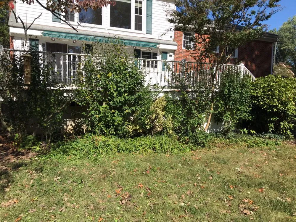 Professional yard maintenance experts serving Staunton, VA - T&N Landscaping