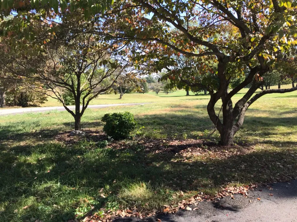 Top-rated yard maintenance for residential properties across Staunton, VA - T&N Landscaping