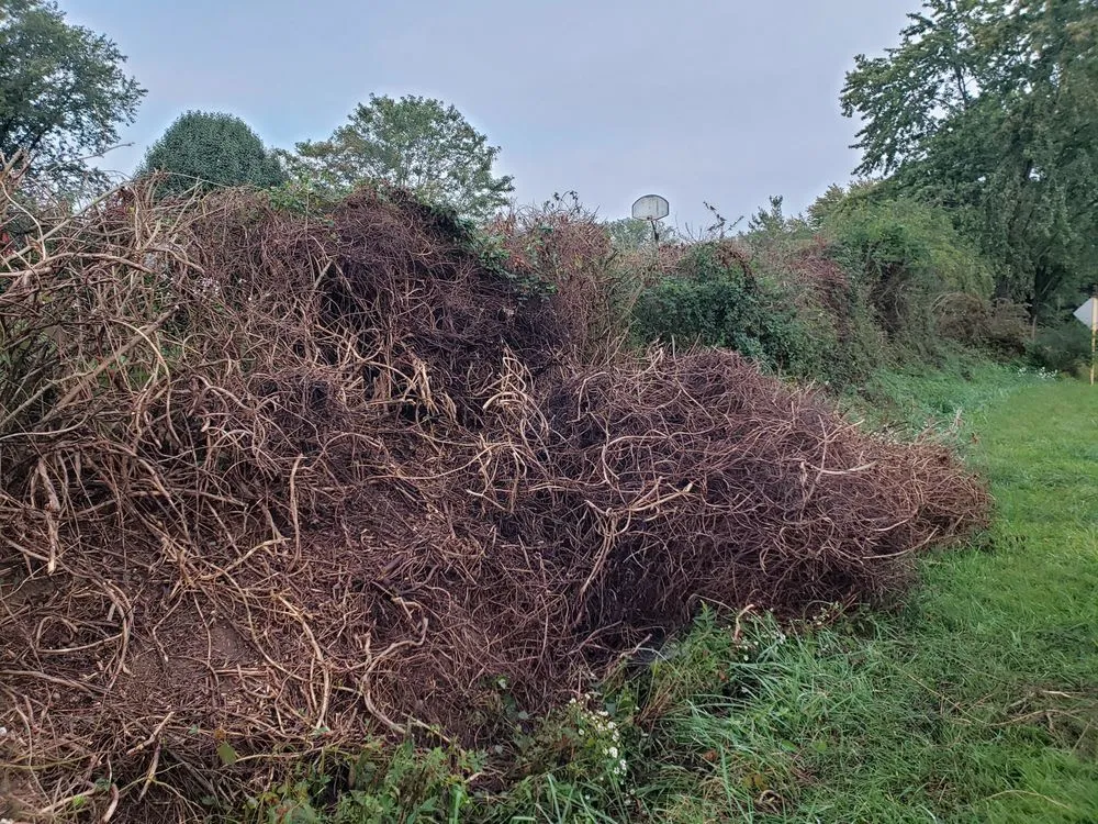 Custom landscaping services in Staunton, VA by T&N Landscaping