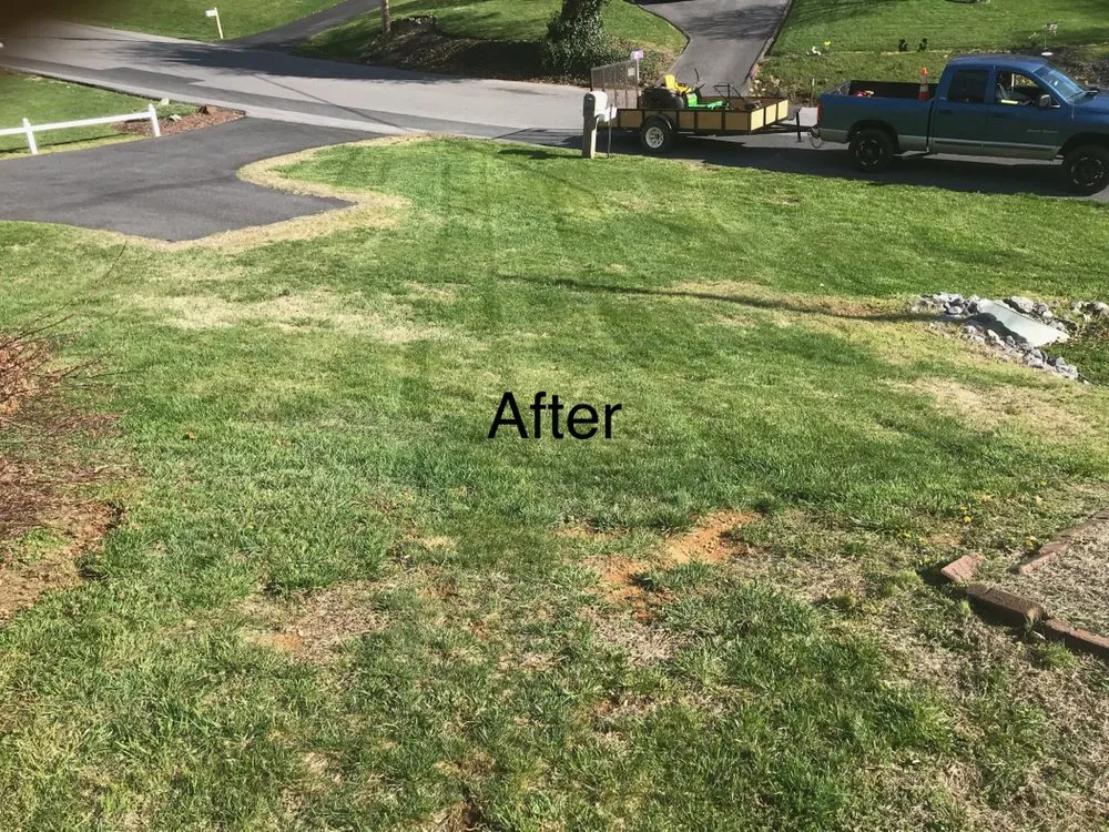 Expert outdoor landscaping experts serving Staunton, VA - T&N Landscaping