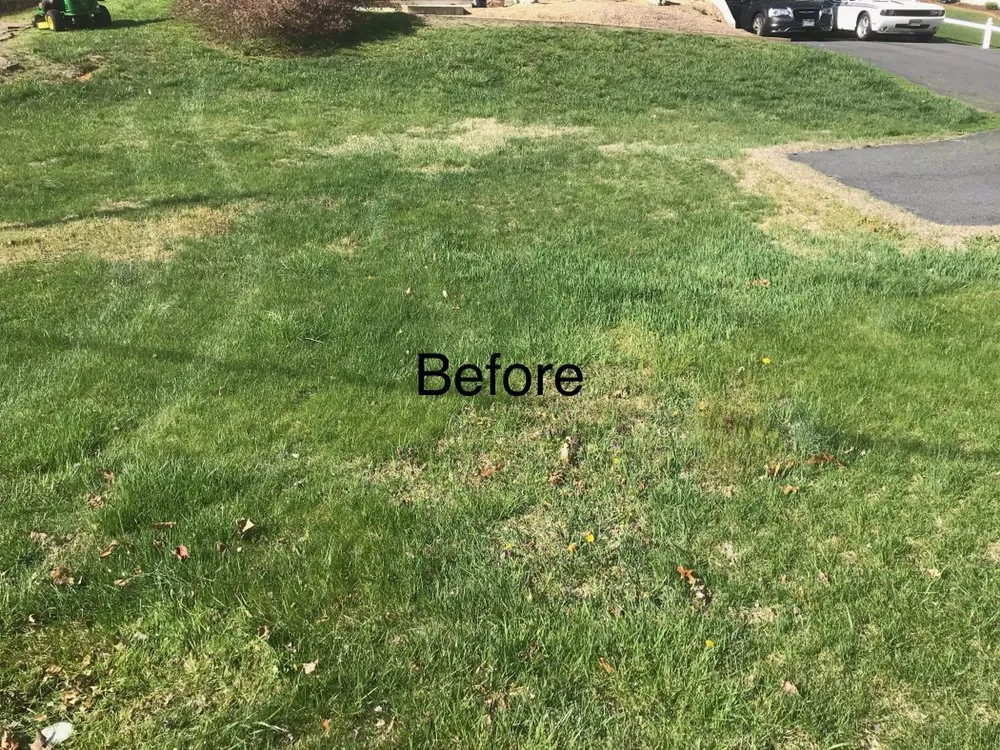 Top-rated yard cleanup service with custom design across Staunton, VA - T&N Landscaping