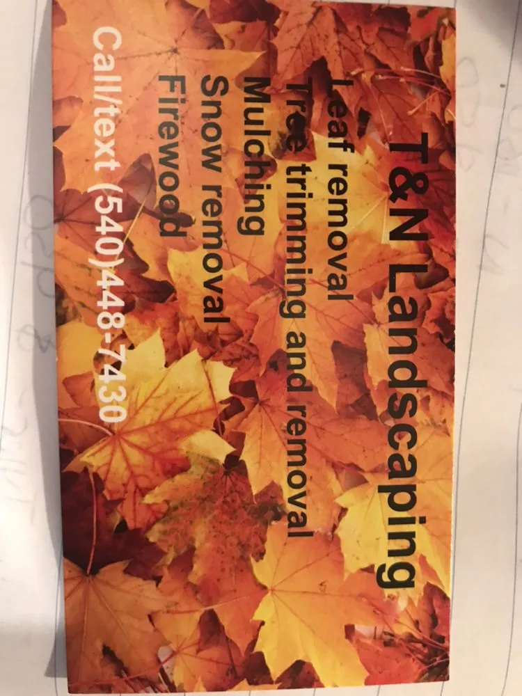 Trusted yard cleanup service near you in Staunton, VA by T&N Landscaping