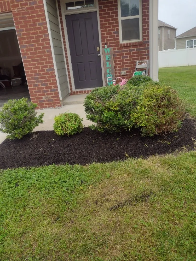 Reliable lawn mowing service in Lebanon, TN by TN Lawn Care Pros