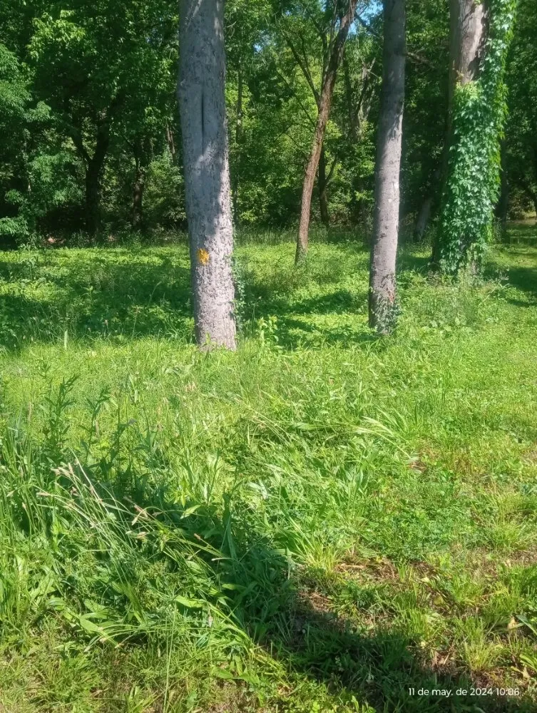 Expert yard maintenance in Lebanon, TN - TN Lawn Care Pros