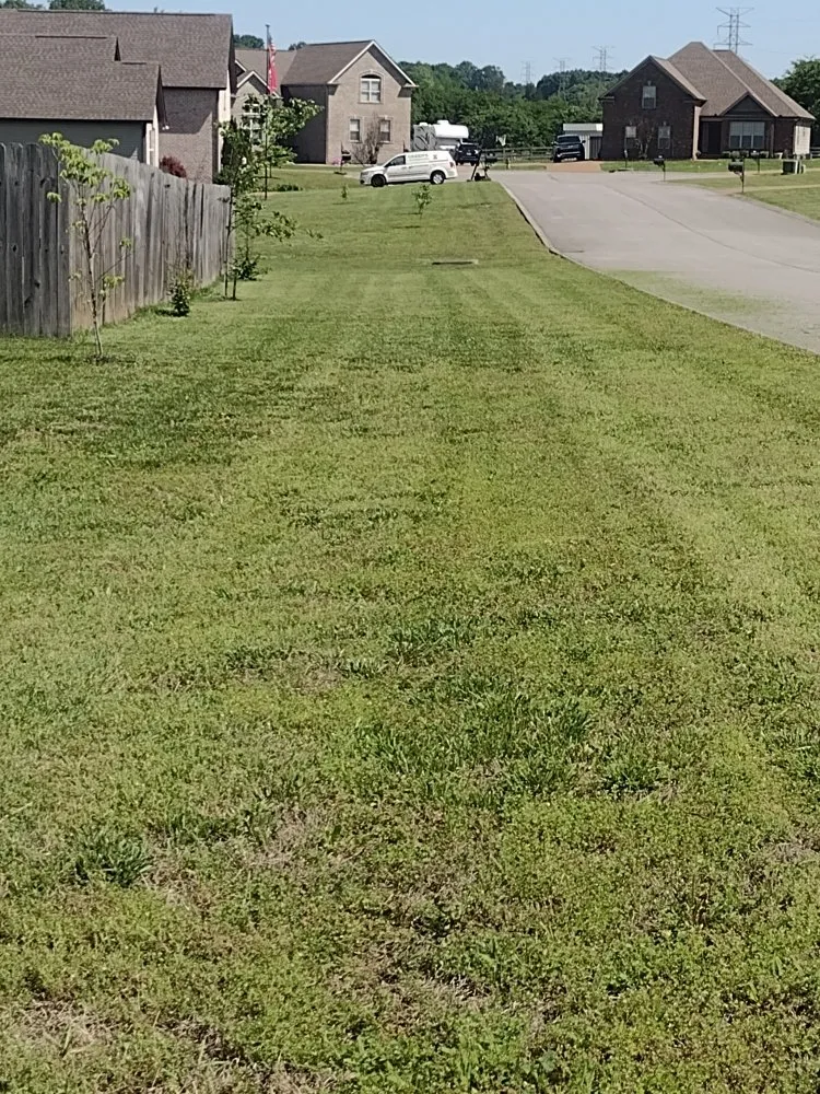 Professional yard cleanup service experts serving Lebanon, TN - TN Lawn Care Pros