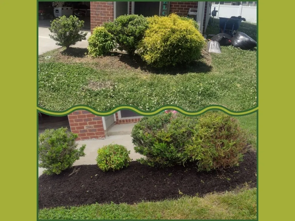 Affordable lawn mowing service with custom design across Lebanon, TN - TN Lawn Care Pros