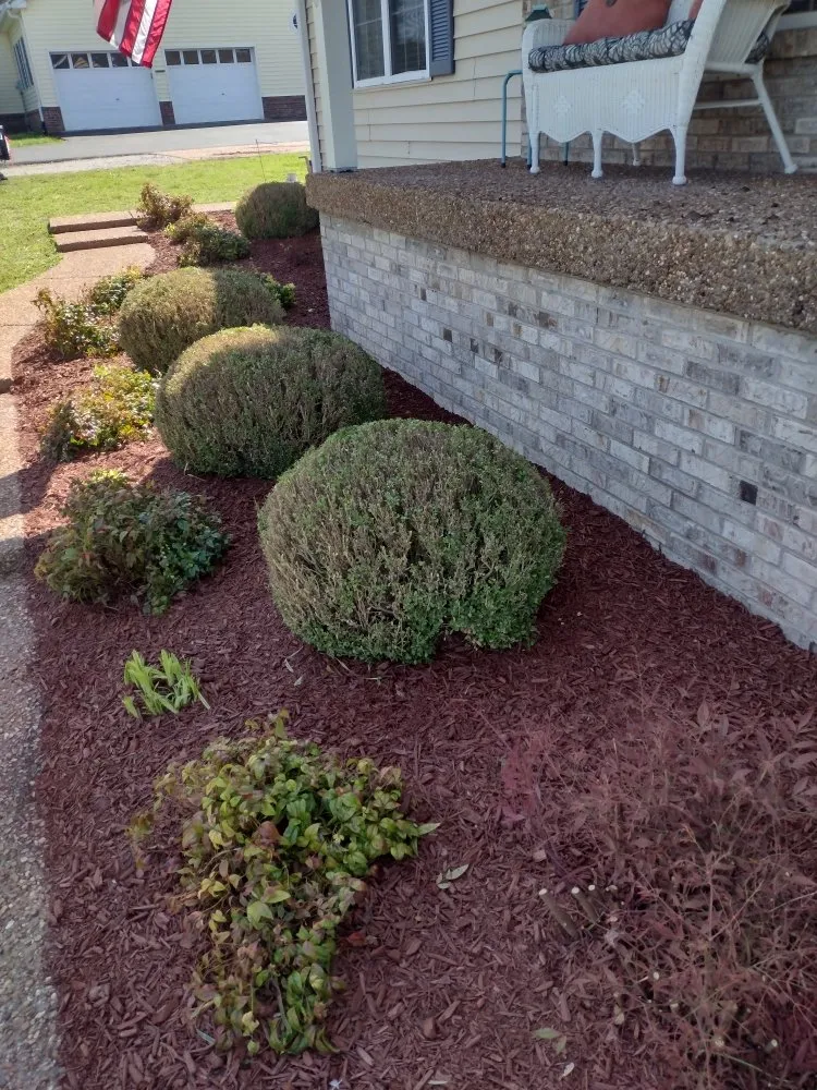 Trusted garden landscaping in Lebanon, TN by TN Lawn Care Pros