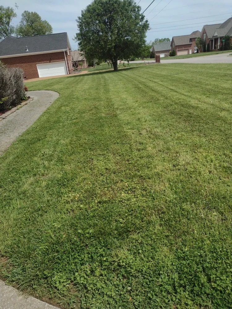 Custom lawn care service in Lebanon, TN by TN Lawn Care Pros