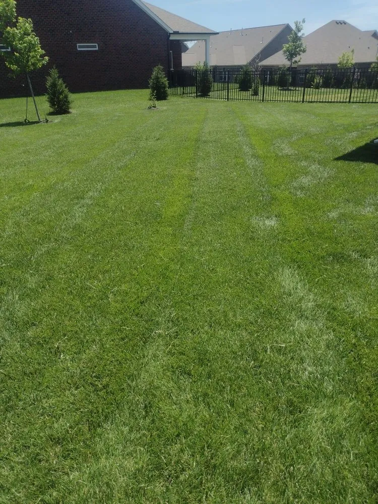 Local lawn mowing service experts serving Lebanon, TN - TN Lawn Care Pros