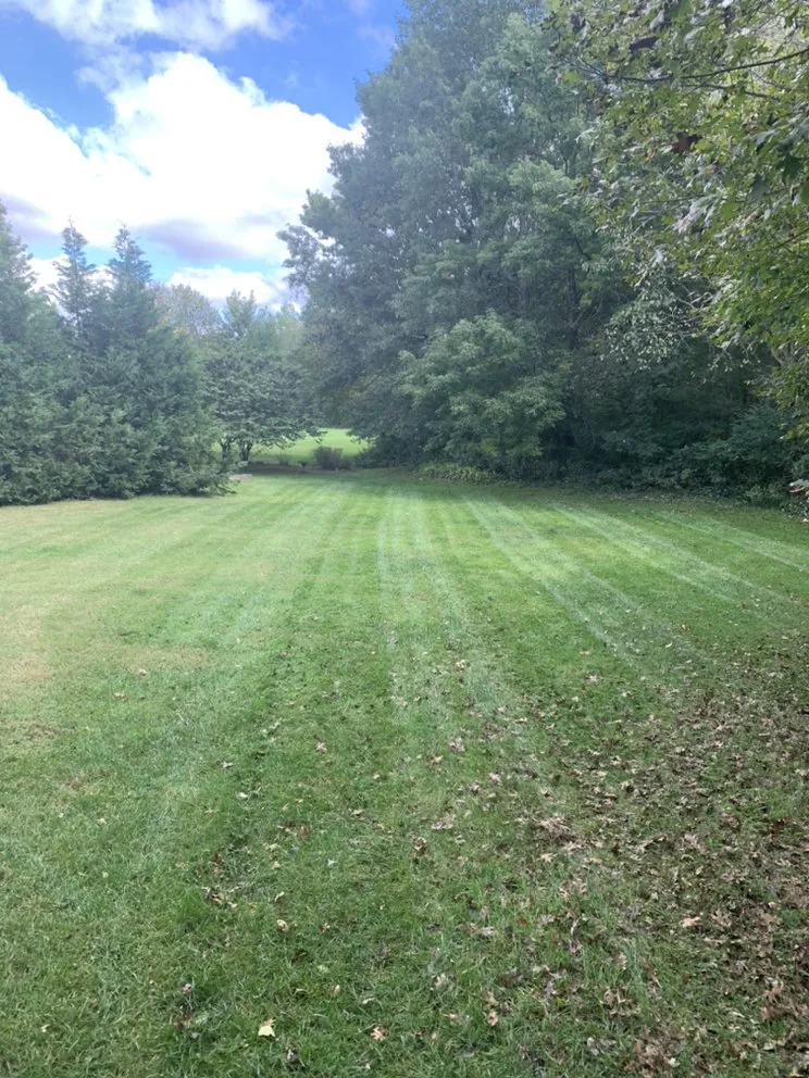 Professional residential landscaping for year-round maintenance in Hendersonville, TN by TN Lawn Enforcement