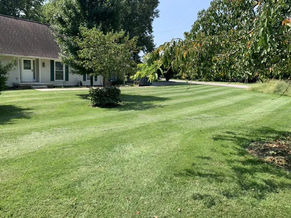 Affordable lawn care service in Hendersonville, TN - TN Lawn Enforcement