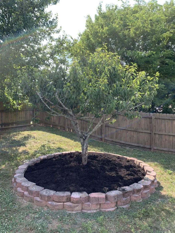 Local residential landscaping in Hendersonville, TN by TN Lawn Enforcement